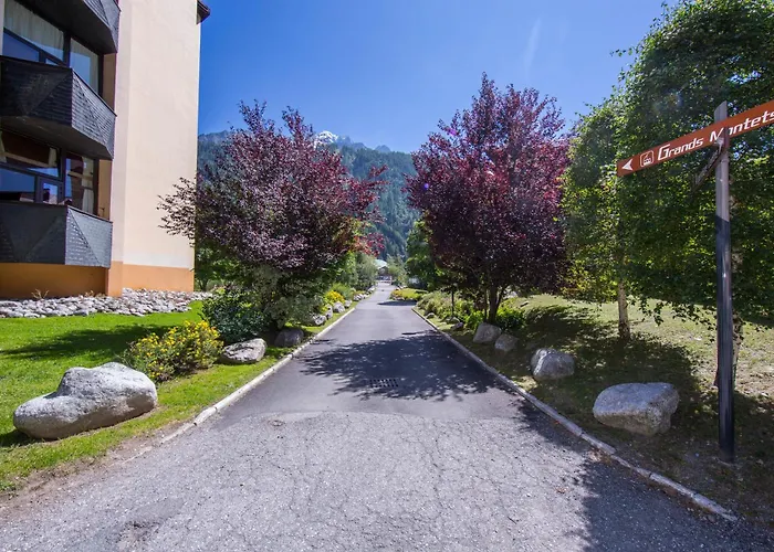 Apartman Grand Roc - Campanules 411 - Happy Chamonix