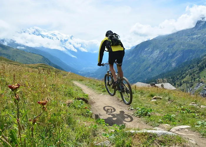 Grand Roc - Campanules 411 - Happy Apartman Chamonix